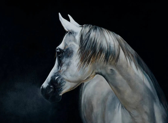 arabian night horse