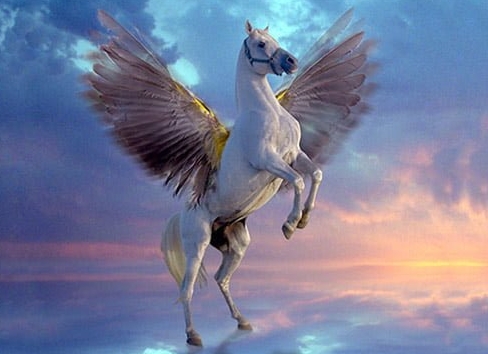 a winged horse