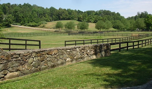 equestrian fence