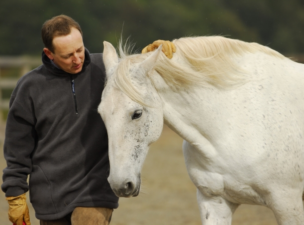 perry equestrian