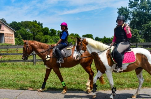 horse riding academy