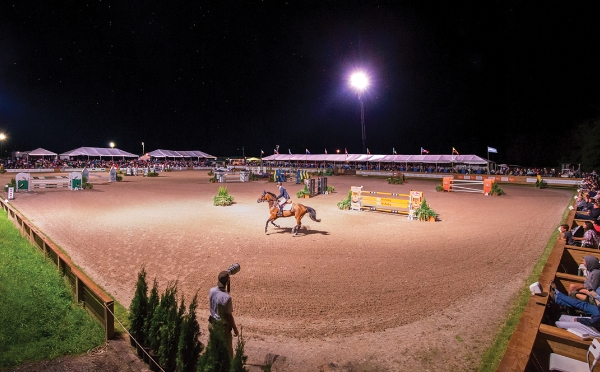angelstone equestrian