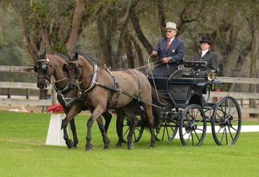 english horse riding