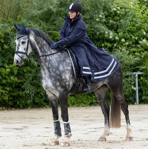 hkm equestrian website