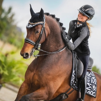 amici equestrian