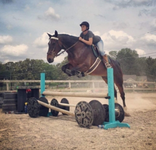 anvil equestrian