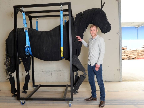 areion equestrian