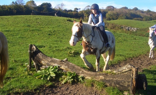 banner equestrian