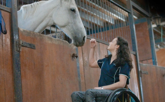 balmoral equestrian centre