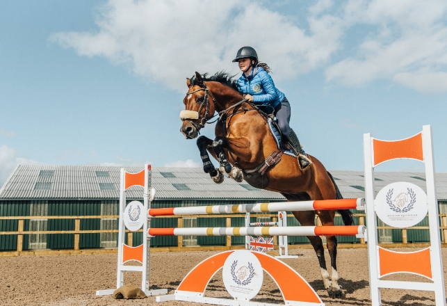 auckland equestrian