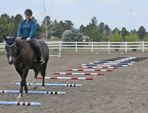equestrian poles