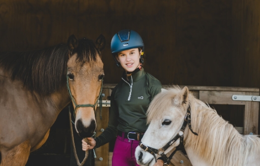 olive branch equestrian