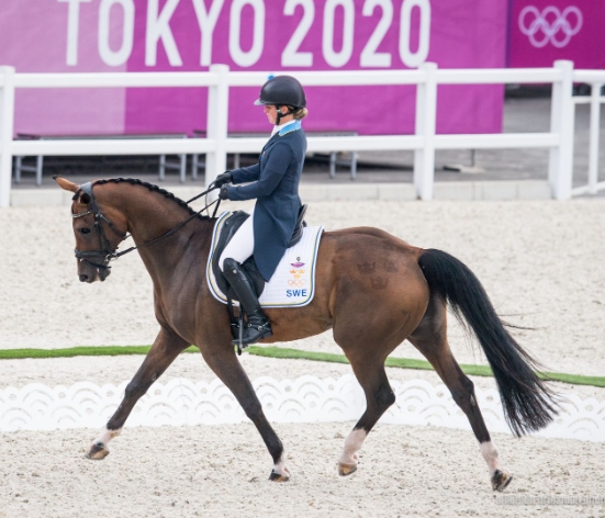 one equestrian