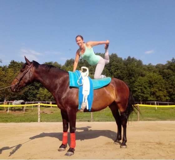 gd equestrian