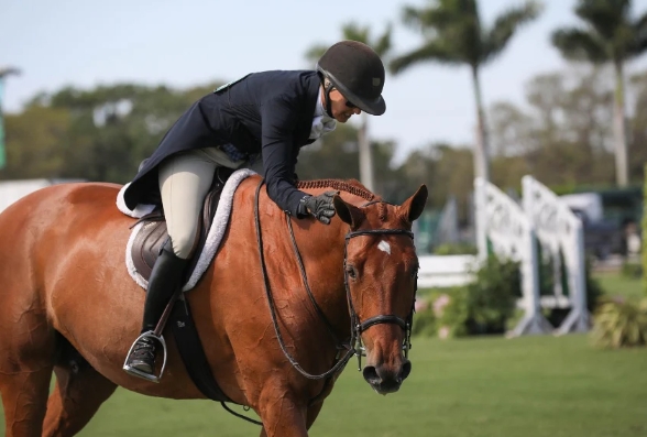 be equestrian