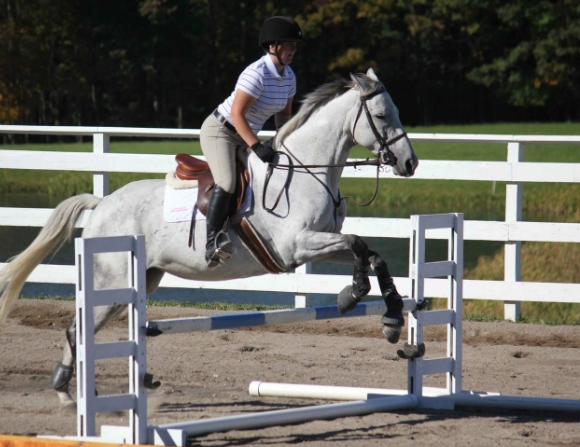 a to b equestrian
