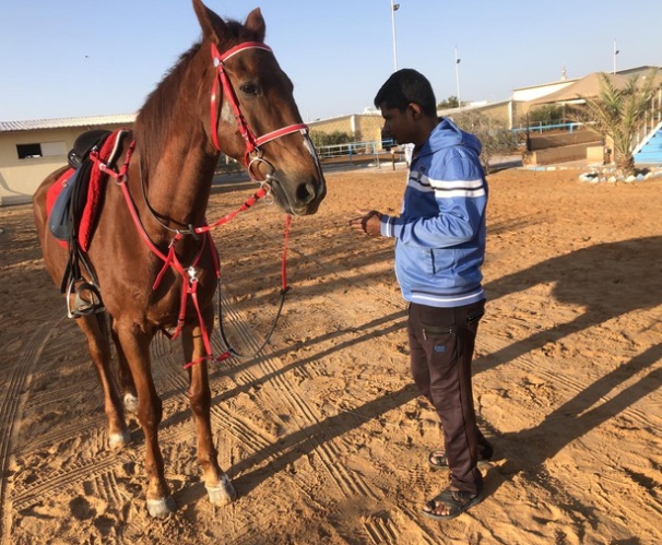 baniyas equestrian center
