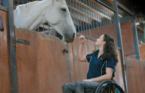 balmoral equestrian