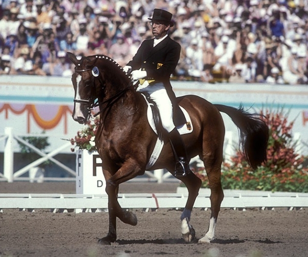 as equestrian