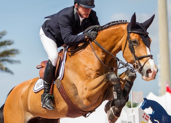 allegro equestrian