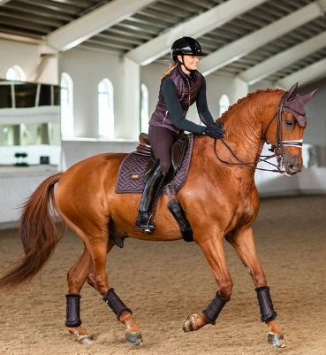 equestrian stockholm orange