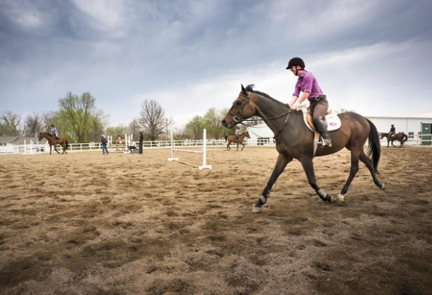 equestrian university