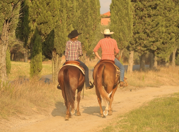 equestrian diary