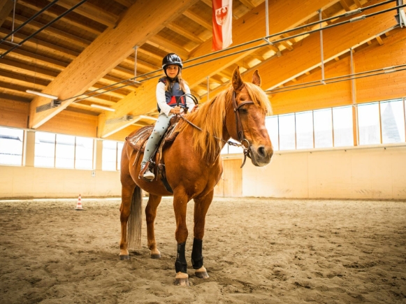 alm equestrian