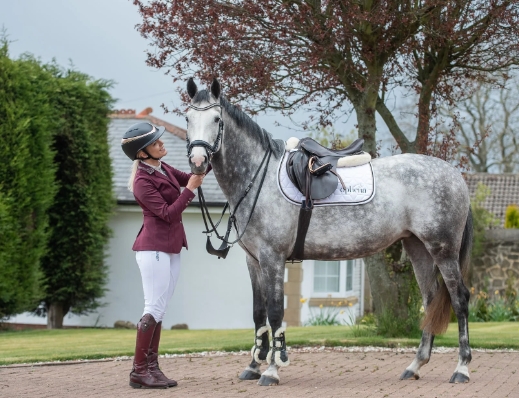 best equestrian