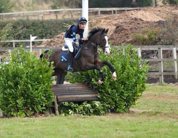 banfield equestrian