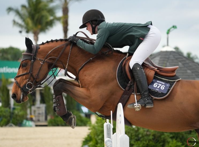 amy miller equestrian