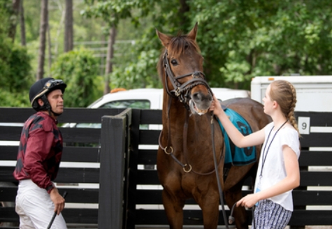 kingsley equestrian