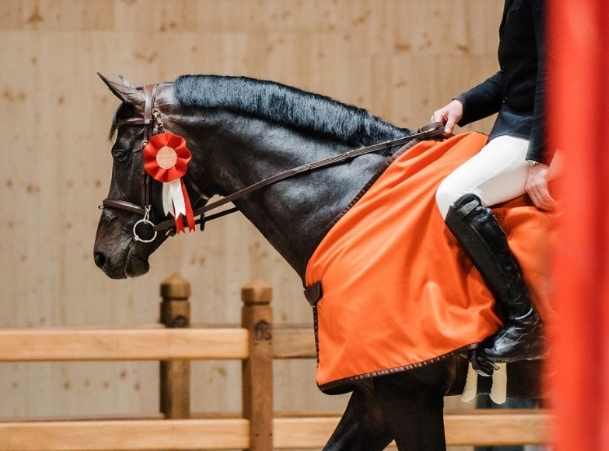 hermes horse riding