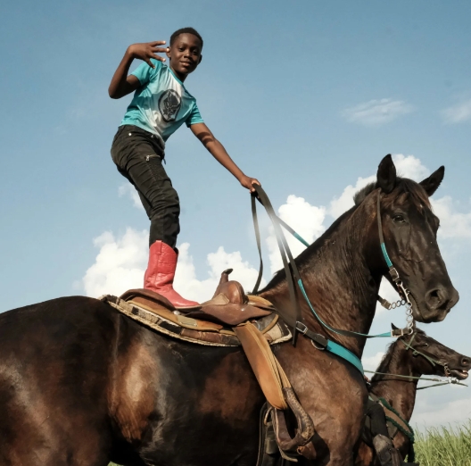 black horse riding