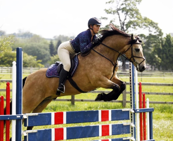 bs showjumping