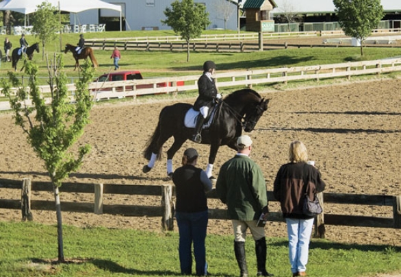 brunson equestrian center