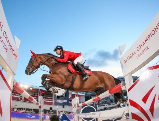chasing dreams equestrian