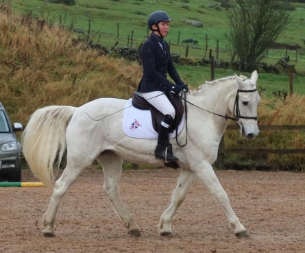 bucs equestrian