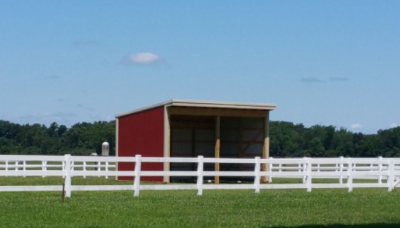 bohemia equestrian center