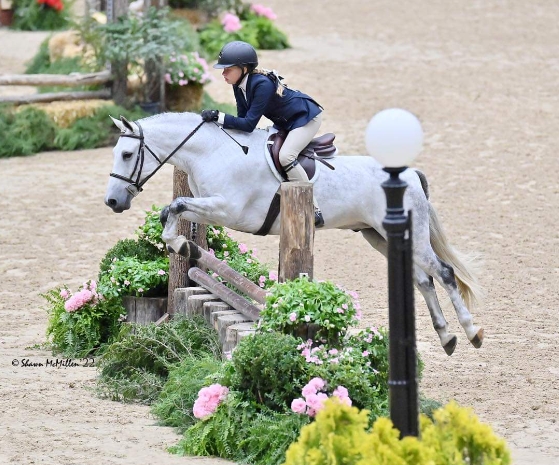 blue moon equestrian