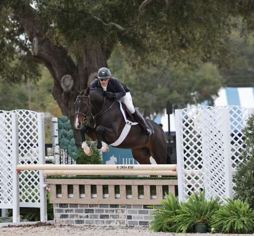 cmh equestrian