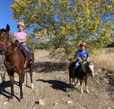 clear compass equestrian
