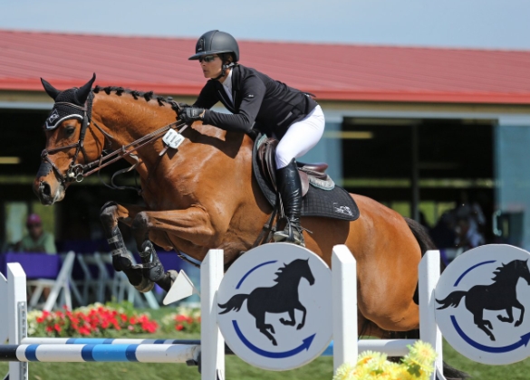blackhound equestrian