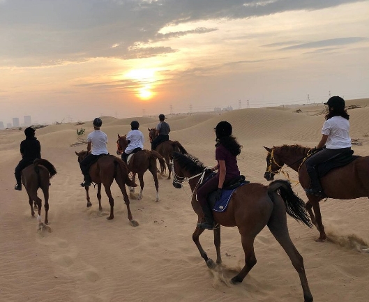 city equestrian club