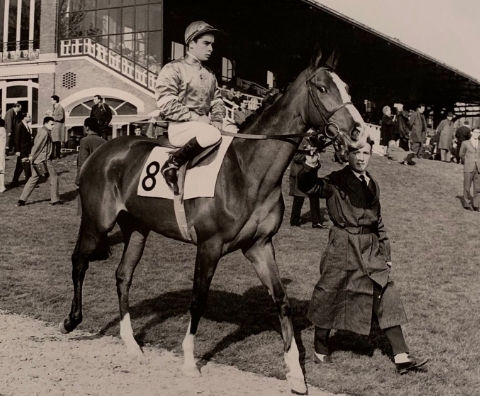 chanel equestrian