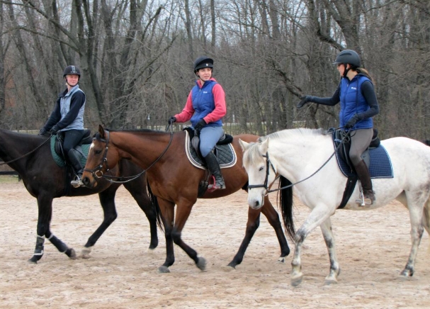 campus equestrian