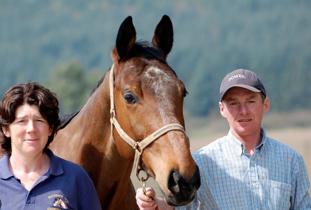 butterfly farm equestrian