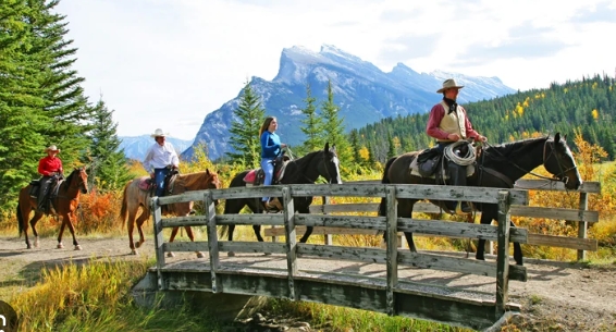 bow canyon equestrian