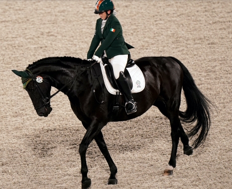 broomfield equestrian centre