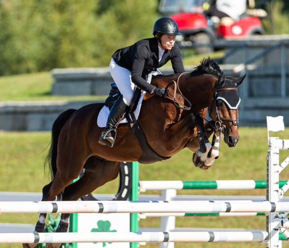 bombers equestrian